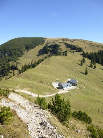Schon oberhalb der Gräner Ödenalpe