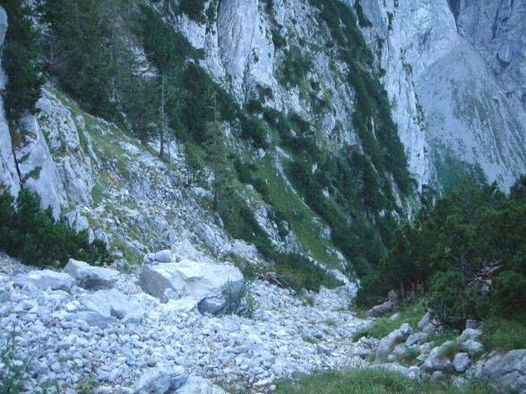 Schuttrinne am Steftensteig