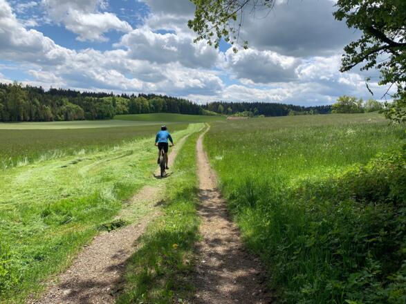 Schöne Wiesenabschnitte mit Bergblicken.
