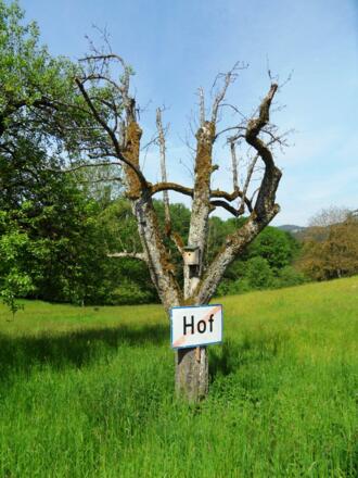 Abgestorbener Baum mit Ortstafel