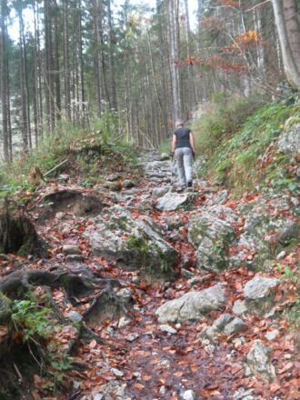 steiniger Ziehweg