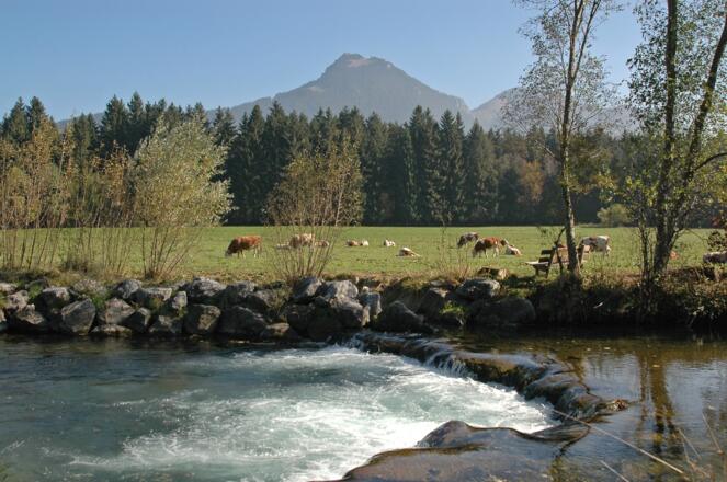 Blick über die Leitzach auf den Breitenstein