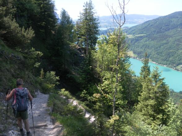 Abstieg von der Eisenaueralm - Mondsee