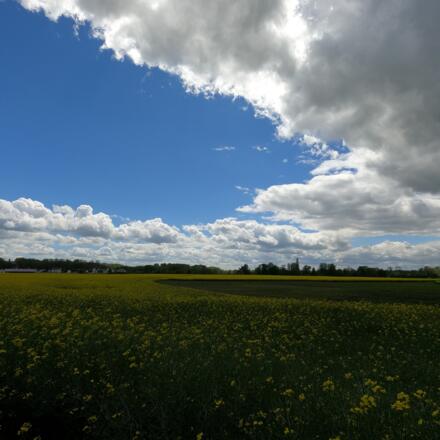 Haslangpark