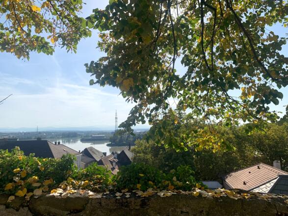 Ennshafen