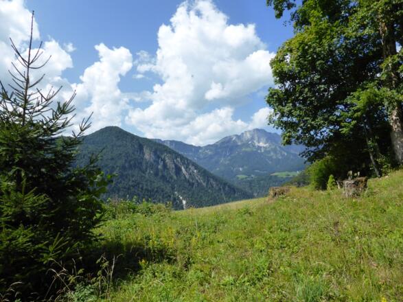 Ausblick zum Untersberg