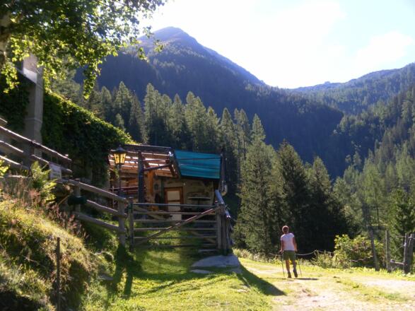 Palfner Heimalm vor Graukogel