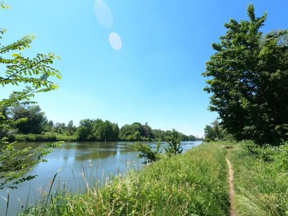 Der Donau entlang