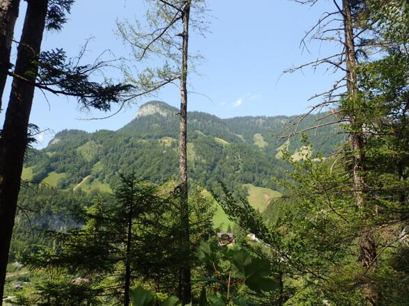 Ausblick Richtung Gerhardstein