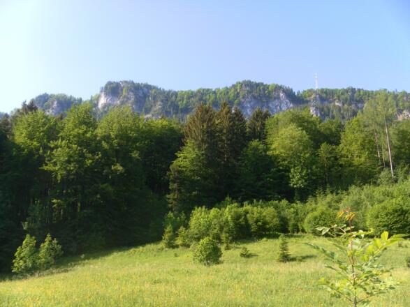 Adlerstein vom Ausgangspunkt