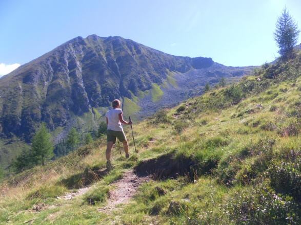 Graukogel und Palfner Scharte