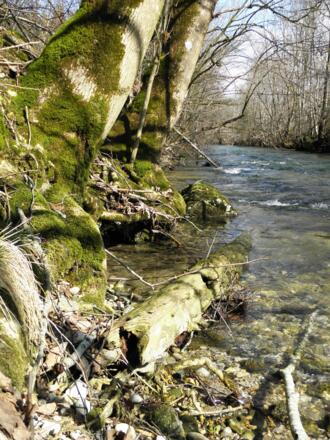 Uferimpressionen an der Leitzach