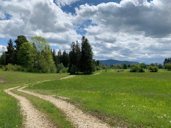 Wunderschöne Wegabschnitte im oberbayerischen Voralpenland.