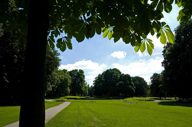 Der Luitpoldpark in München im Sommer