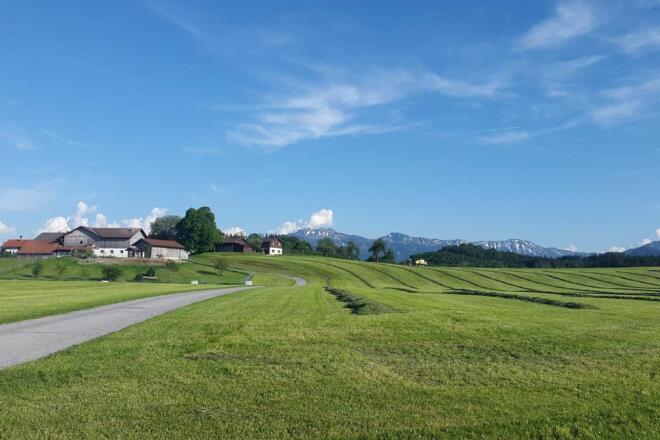 Ausblick auf die verschneiten Berge