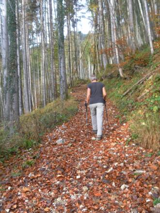 Wanderweg zur Branderalm