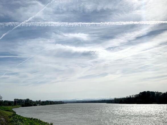 Die Donau nach Au im Machland