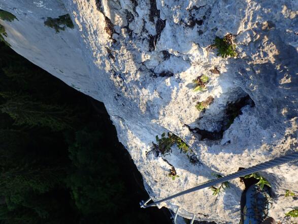 Immer noch ausgesetzt