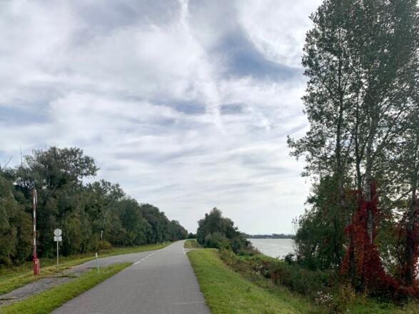 Asphaltierter Donauradweg am Damm vor Au im Machland