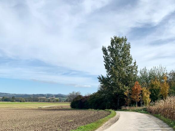 Machland