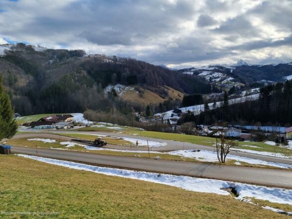 Es wird Holz ausgebracht
