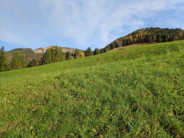 Oberhalb von Kasbach