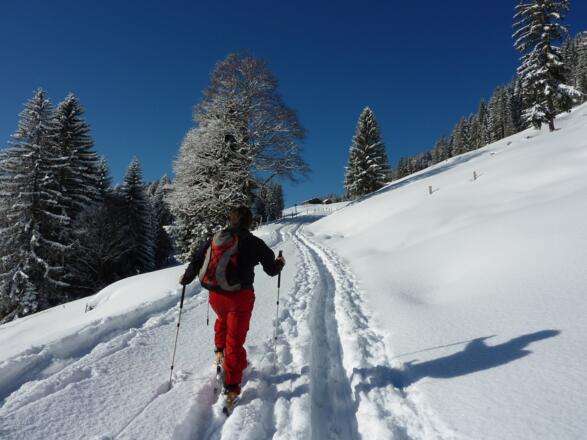 Anstieg zur Alpe Oberbalderschwang