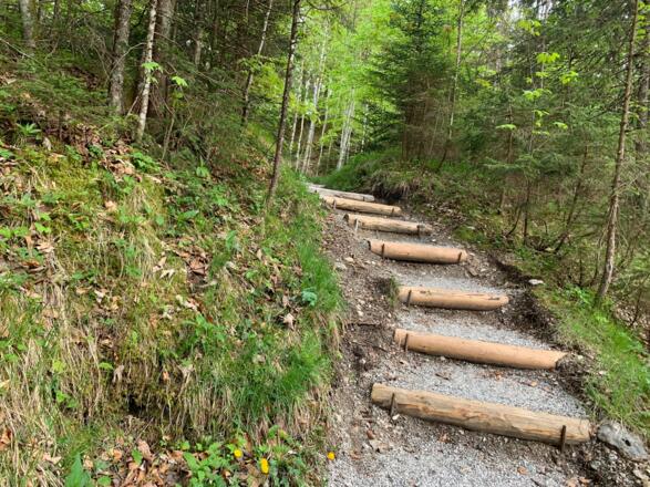 Schön ausgebaute Stufen. Auch wenn es womöglich für viele Radler in die falsche Richtung geht...
