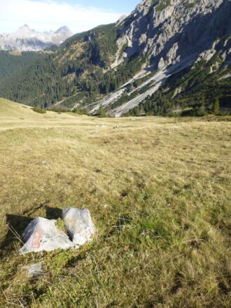 Auswandern durch Wiesenwege