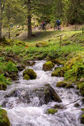 Entlang des schäumenden Baches zum Wallberg