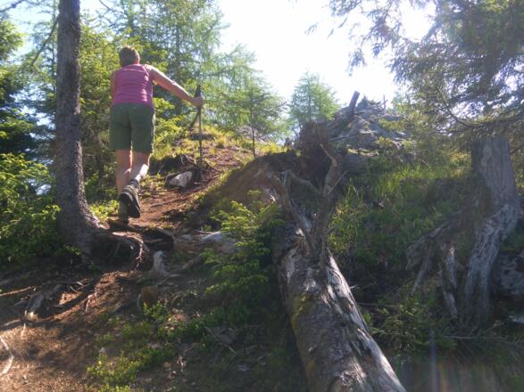 Westkamm zum Adlerstein