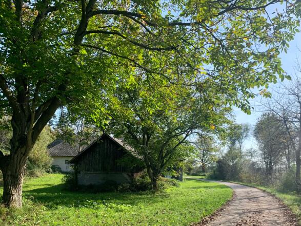 Radweg am Koglberg in Gusen