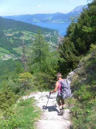 Abstieg von der Eisenaueralm - Attersee