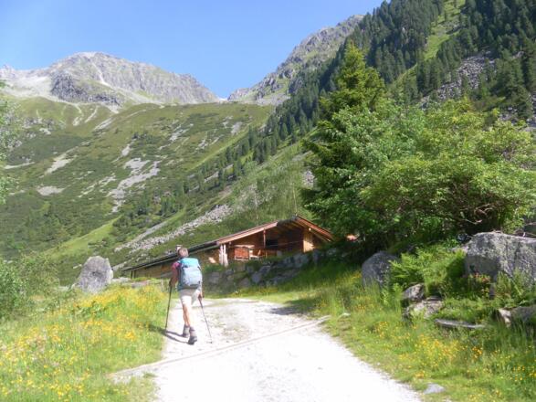 Schrimmennieder über der Falbesoner Ochsenalm