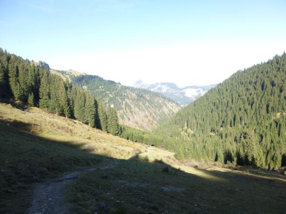 Rückblick auf den jetzt schon schönen Wanderweg
