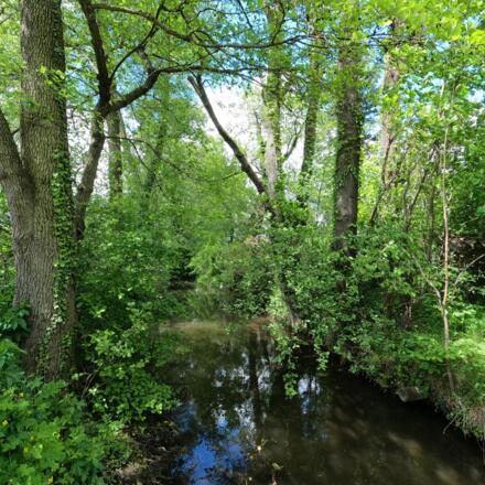 Haslangpark