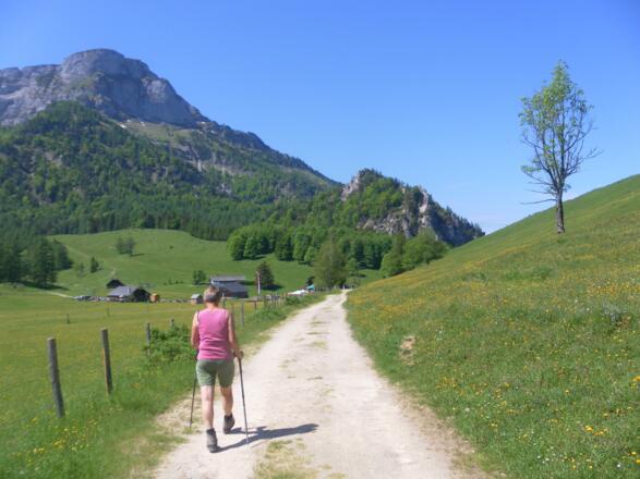 Eisenaueralm, Schafberg und Weinberg