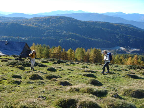 Bei der Preberhalterhütte