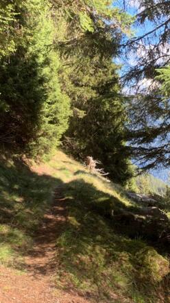 Weg oberhalb Gries