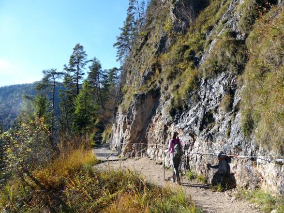 Der Weg verläuft durch die sonnige Hammerstielwand zum Gasthof Kugelmühle.