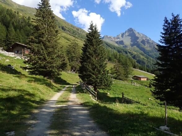 Bei der Taxeralm: Blick zum Nussingkogel