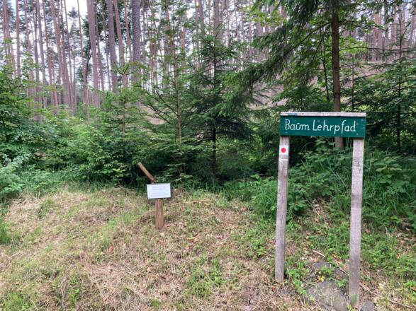 Baumlehrpfad