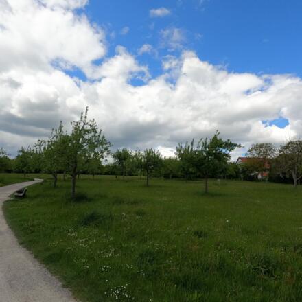 Haslangpark
