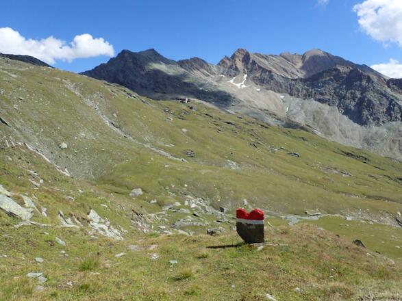 Am Weg zur Nussingscharte