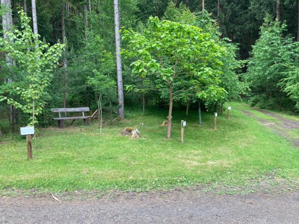 Baumlehrpfad