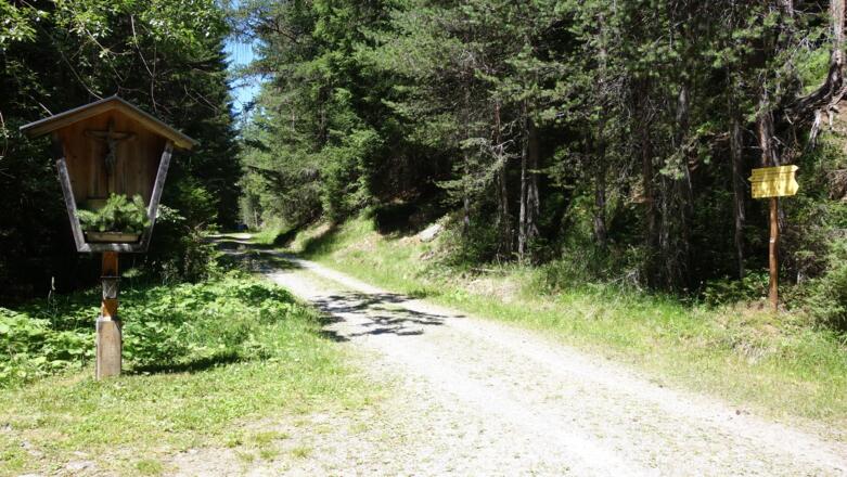 Rückweg zunächst auf einer Forststraße