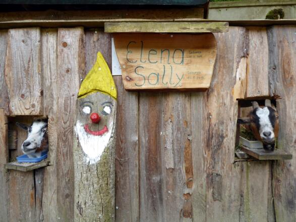 Das Begrüßungskomitee am Eingang in den Teufelsgraben.