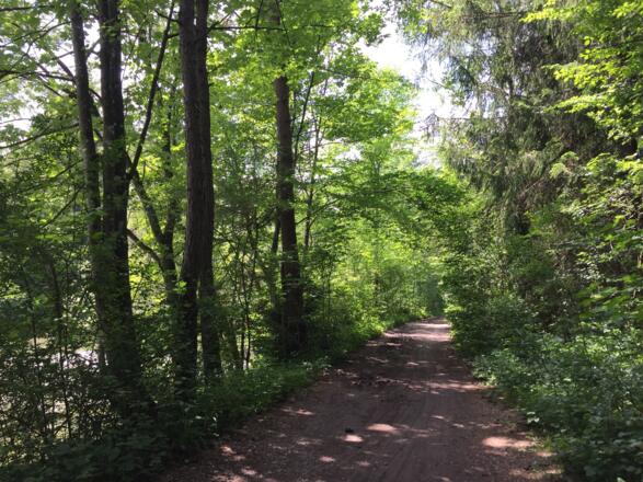 Radweg am Loisach-Isarkanal