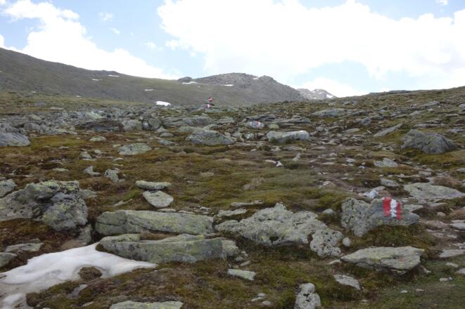 weiter in mehr oder weniger gerader Linie zum Gipfel