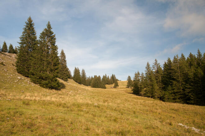 Über weite Wiesen nähert man sich dem Fockenstein